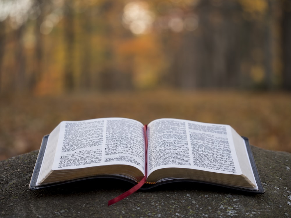 Holy Bible